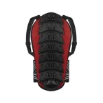 Otis Motorcycle Safety Back