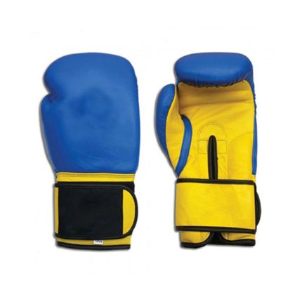 Boxing Gloves BEBG-05